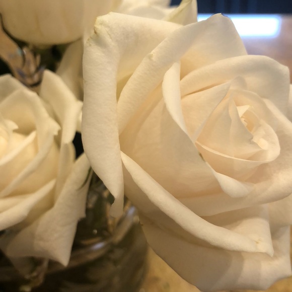 Meet your Posher, Alison - Picture 1 of 1